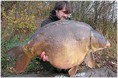 /album/het-pro-line-team/eddysterckx-jpg/